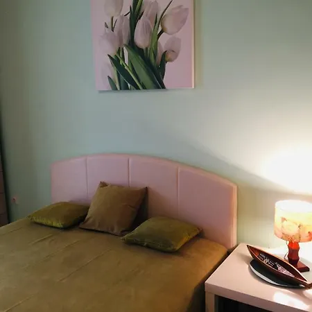 Ljudmila Studio Apartment Podgorica
