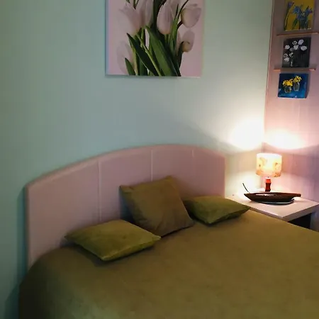 Ljudmila Studio Apartment *